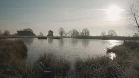 Stock Video Lake In A Forest During The Fall Animated Wallpaper - Free Live Wallpaper