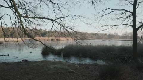 Stock Video Lake In A Forest During The Winter Animated Wallpaper - Free Live Wallpaper