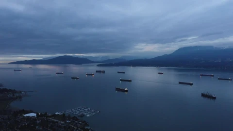 Stock Video Lake Full Of Boats Animated Wallpaper - Free Live Wallpaper