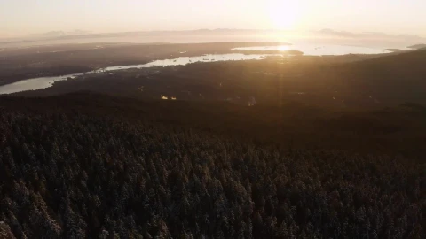 Stock Video Lake From A Pine Forest During A Sunset Animated Wallpaper - Free Live Wallpaper
