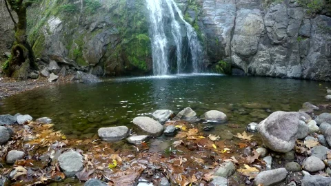 Stock Video Lake And Its Waterfall In The Woods Animated Wallpaper - Free Live Wallpaper