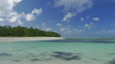 Stock Video Lagoon With Crystal Clear Water Animated Wallpaper - Free Live Wallpaper