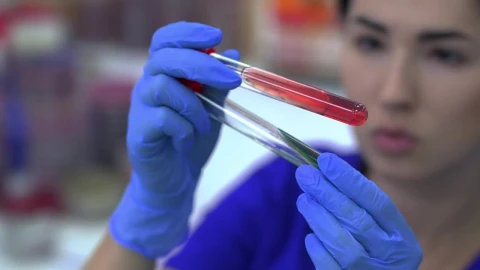 Stock Video Laboratory Worker Looking At A Test Tube Animated Wallpaper - Free Live Wallpaper