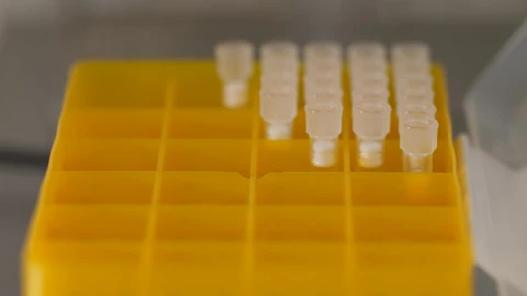 Stock Video Laboratory Sample Tray Animated Wallpaper - Free Live Wallpaper