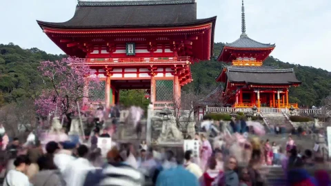 Stock Video Kyoto Historic Temple With Tourism Animated Wallpaper - Free Live Wallpaper