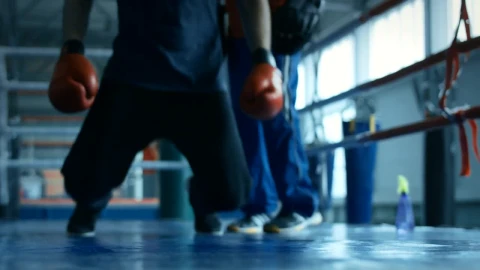 Stock Video Knocked Out Boxer Falls Into The Ring Animated Wallpaper - Free Live Wallpaper