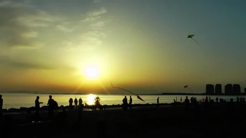 Stock Video Kites On The Beach At Sunset Animated Wallpaper - Free Live Wallpaper
