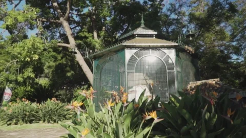 Stock Video Kiosk In A Garden Animated Wallpaper - Free Live Wallpaper