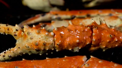 Stock Video King Crab Cooking Over The Grill Animated Wallpaper - Free Live Wallpaper