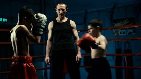 Stock Video Kids Training Boxing In The Gym Animated Wallpaper - Free Live Wallpaper