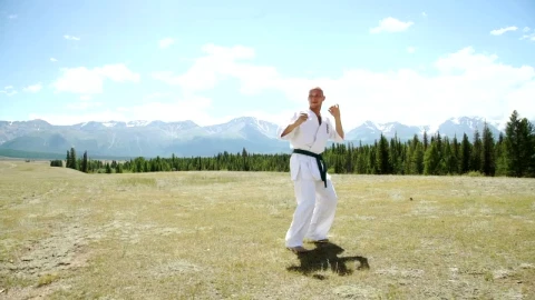 Stock Video Karate Black Belt High Kick With Outdoor Landscape Animated Wallpaper - Free Live Wallpaper