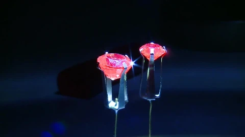 Stock Video Jewels With Red Stones Animated Wallpaper - Free Live Wallpaper