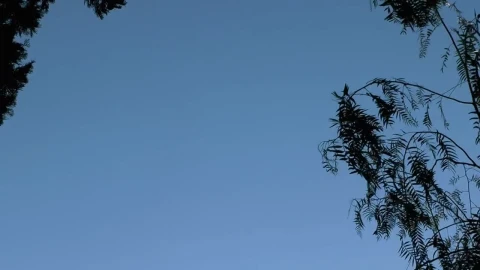 Stock Video Jesus Cross On A Church Animated Wallpaper - Free Live Wallpaper