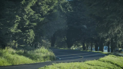 Stock Video Jeep In The Road Between Nature Animated Wallpaper - Free Live Wallpaper