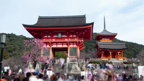 Stock Video Japanese Temple Entrance Time Lapse Animated Wallpaper - Free Live Wallpaper