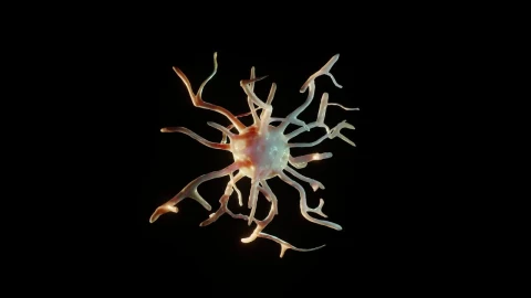 Stock Video Isolated Coronavirus Vaccine Cell Spins On Black Background Animated Wallpaper - Free Live Wallpaper
