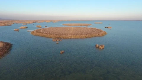 Stock Video Islands Of Reed Scattered In The Ocean Animated Wallpaper - Free Live Wallpaper