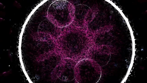 Stock Video Intro Video With Pink Shapes And Rings Of Light Animated Wallpaper - Free Live Wallpaper