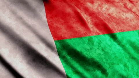 Stock Video International Madagascar Flag Animated Wallpaper - Free Live Wallpaper
