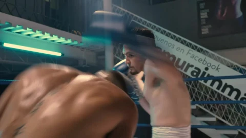 Stock Video Intense Semi Pro Boxing Match Animated Wallpaper - Free Live Wallpaper
