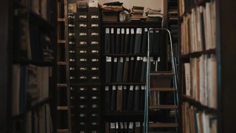Stock Video Inside An Old Library Animated Wallpaper - Free Live Wallpaper