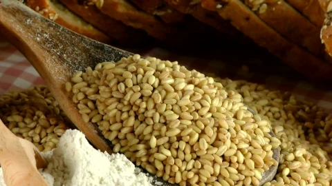 Stock Video Ingredients To Prepare Whole Wheat Bread Animated Wallpaper - Free Live Wallpaper