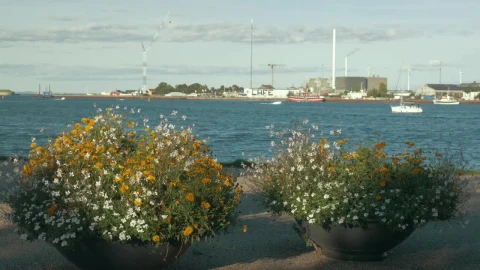 Stock Video Industrial Harbor And Waterfront Animated Wallpaper - Free Live Wallpaper