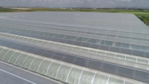 Stock Video Industrial Greenhouse Farm Animated Wallpaper - Free Live Wallpaper