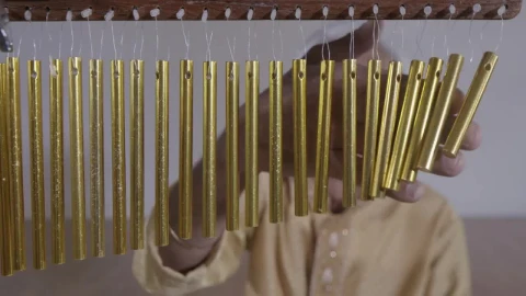 Stock Video Indian Percussion Musician Performing Animated Wallpaper - Free Live Wallpaper