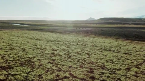 Stock Video Icelandic Wilderness Animated Wallpaper - Free Live Wallpaper