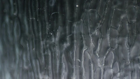 Stock Video Ice Like Motion Background Animated Wallpaper - Free Live Wallpaper