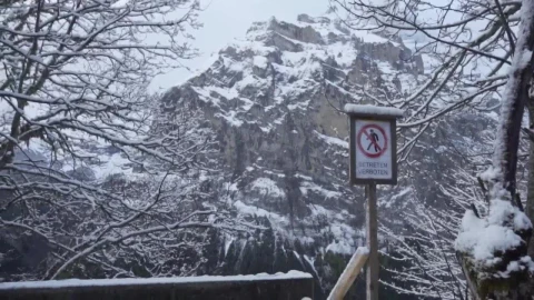 Stock Video Ice And Snow Covered Fence In The Mountains Animated Wallpaper - Free Live Wallpaper
