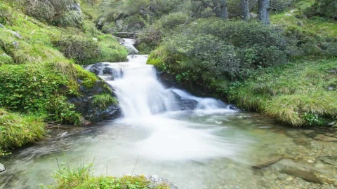 Stock Video Hyperlapse Of A Stream In The Woods Animated Wallpaper - Free Live Wallpaper