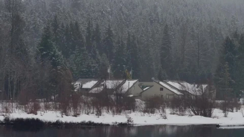Stock Video Huts In A Snowy Forest Animated Wallpaper - Free Live Wallpaper