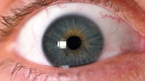 Stock Video Human Eye Focusing In Animated Wallpaper - Free Live Wallpaper
