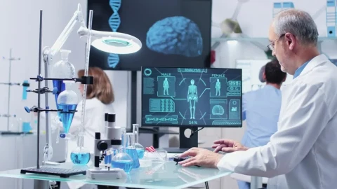 Stock Video Human Diagram On A Computer Screen Animated Wallpaper - Free Live Wallpaper