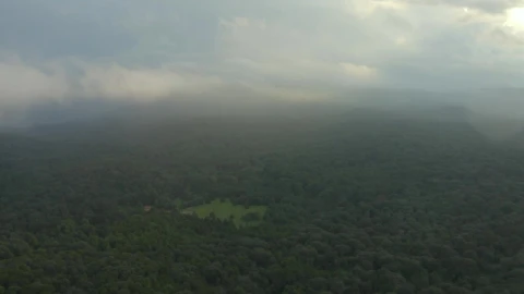 Stock Video Huge Forest Seen From The Heights During A Cloudy Day Animated Wallpaper - Free Live Wallpaper