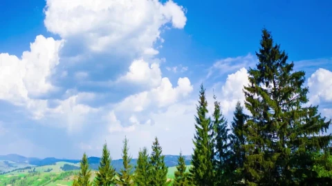 Stock Video Huge Clouds In The Blue Sky On The Meadow Animated Wallpaper - Free Live Wallpaper