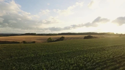 Stock Video Hovering Low Over Fields Animated Wallpaper - Free Live Wallpaper