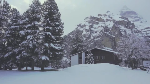 Stock Video Houses In A Forest During Winter Animated Wallpaper - Free Live Wallpaper