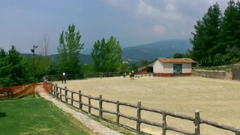 Stock Video Horses On The Farm Animated Wallpaper - Free Live Wallpaper