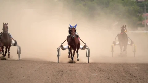 Stock Video Horse Race On A Dirt Road Animated Wallpaper - Free Live Wallpaper