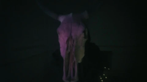 Stock Video Hooded Person Approaching With His Hands A Skull Of A Animated Wallpaper - Free Live Wallpaper