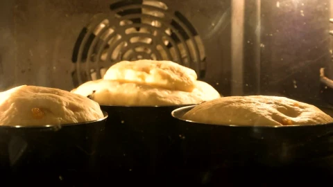 Stock Video Home Made Bread Rising Inside The Oven Animated Wallpaper - Free Live Wallpaper