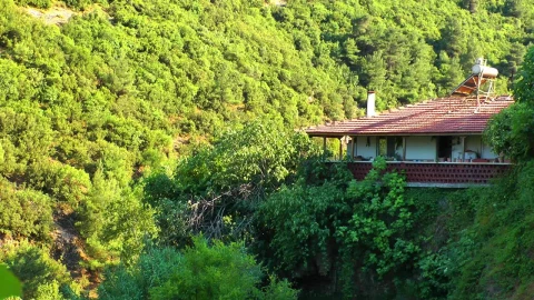 Stock Video Holiday House In The Mountain Forest Animated Wallpaper - Free Live Wallpaper