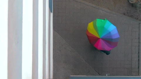 Stock Video Holding A Rainbow Umbrella Outside Animated Wallpaper - Free Live Wallpaper