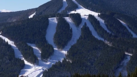 Stock Video Hills Covered With Nine And Pine Trees From Above Animated Wallpaper - Free Live Wallpaper