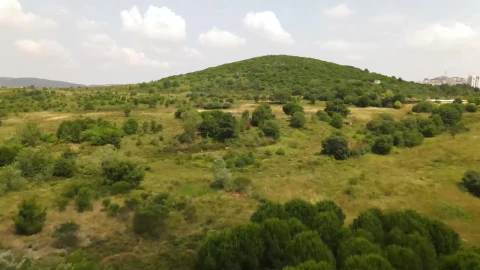Stock Video Hill Covered With Trees And Vegetation From Above Animated Wallpaper - Free Live Wallpaper