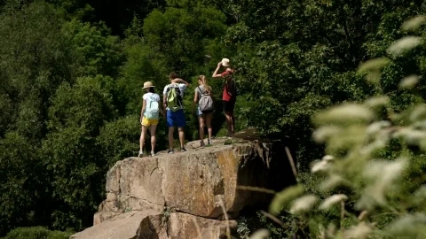 Stock Video Hiking Group Reaching Their Goal Animated Wallpaper - Free Live Wallpaper