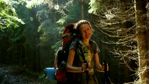 Stock Video Hiker Woman With Big Backpack In The Forest Animated Wallpaper - Free Live Wallpaper